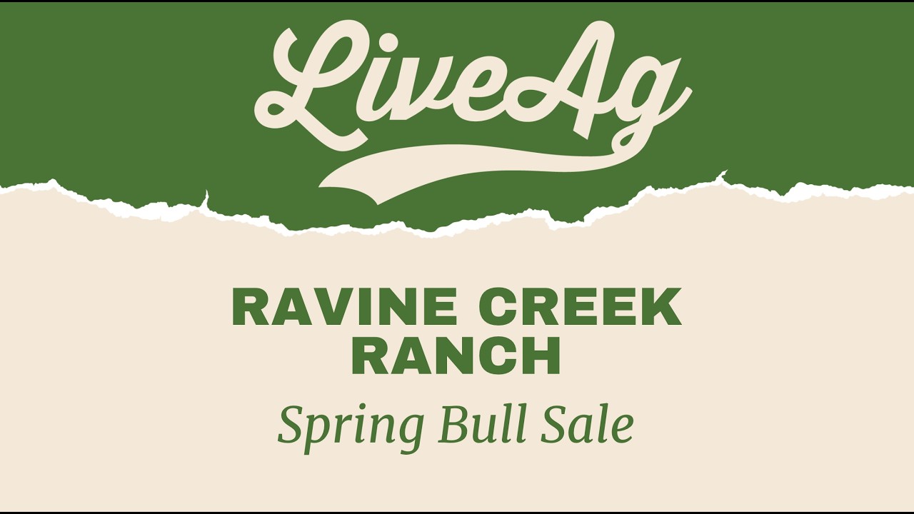 Watch the 2026 Ravine Creek