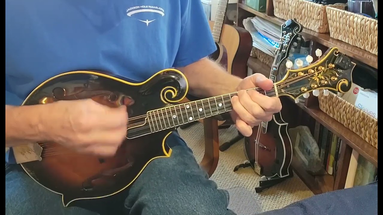 Southern Flavor - Dave Herzog - Mandolin