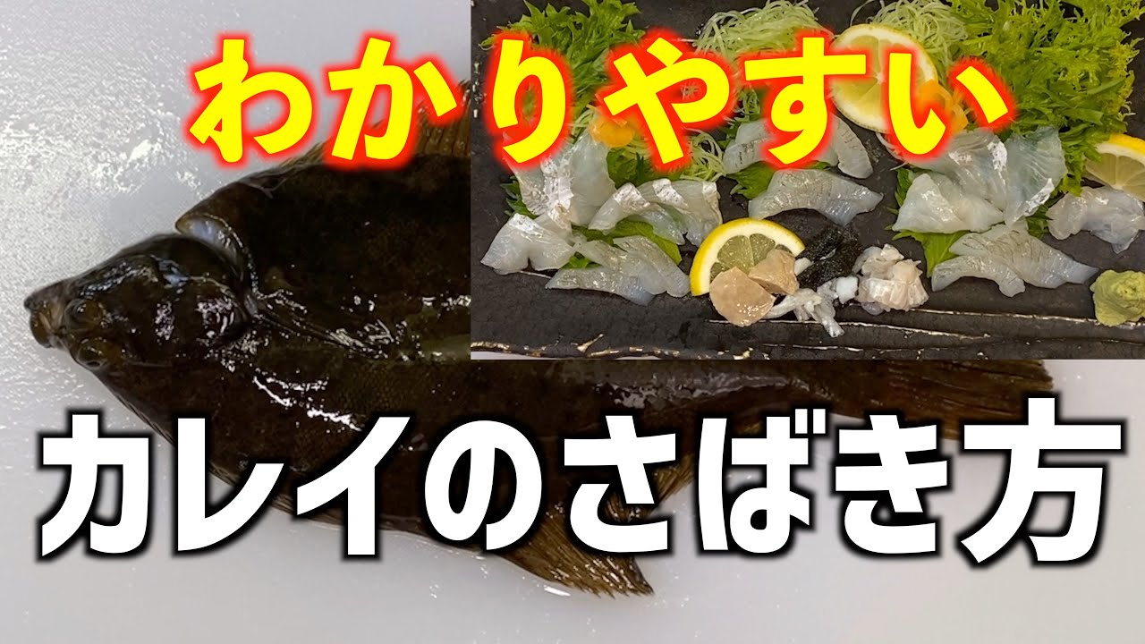 カレイのさばき方と刺身