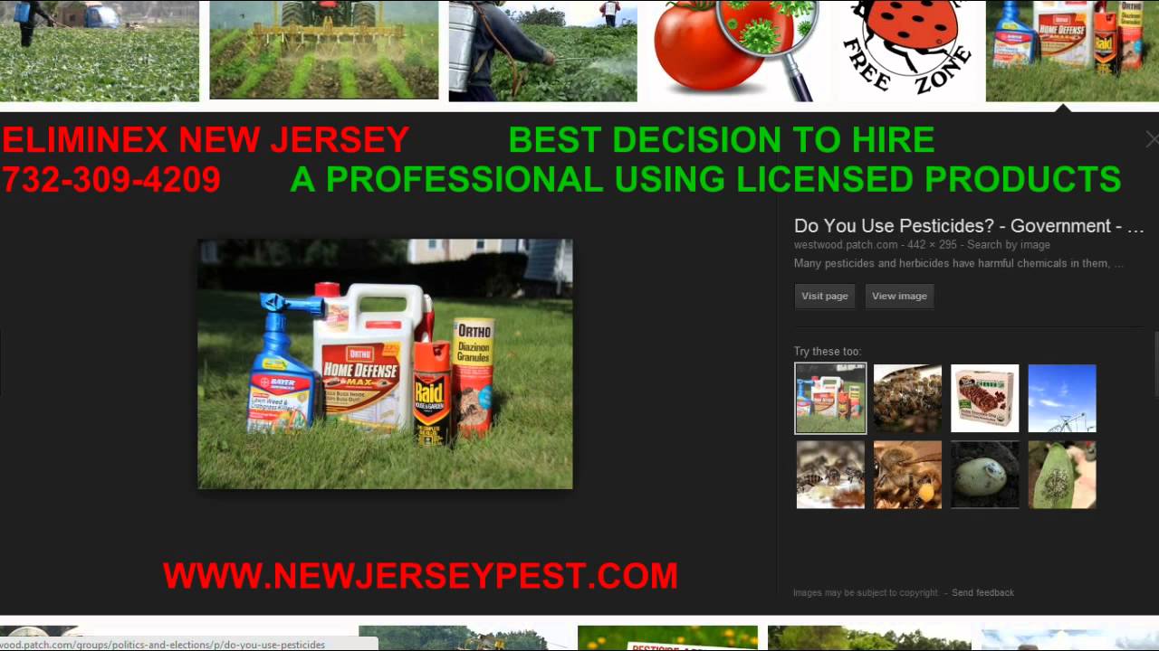 Don't spray Home Depot Foggers and Spray in NJ for Bed Bugs 732-309-4209 |  Bed Bug New Jersey