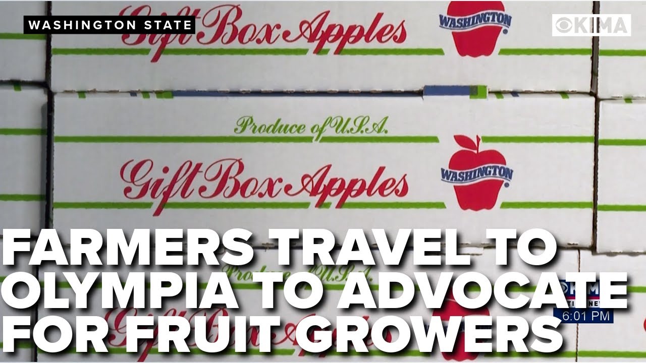 Washington Tree Fruit Association highlights challenges in agriculture at Olympia