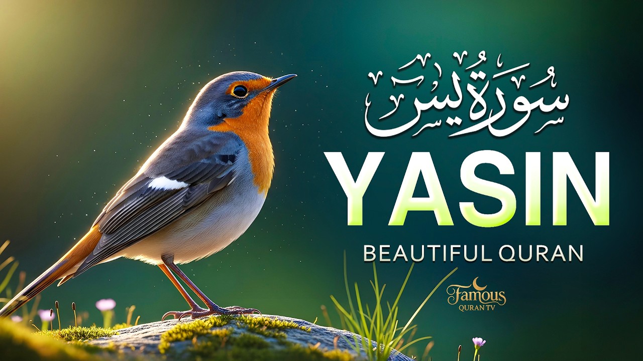 Surah Yasin (Yaseen) سورة يس | Relaxing Quran Tilawat for Inner Peace by Alaa Aqel