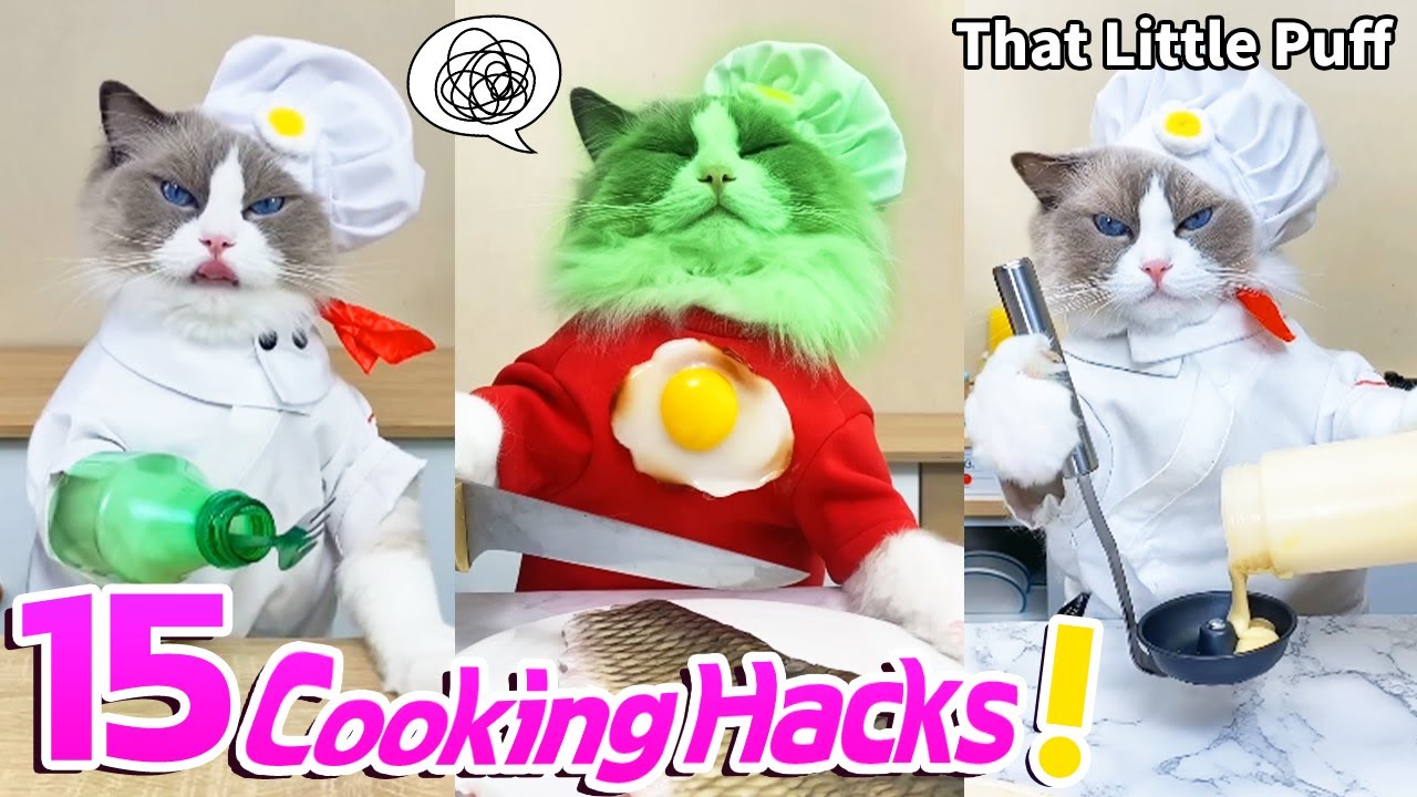 Meow Chef: 15 Cooking Hacks! | That Little Puff