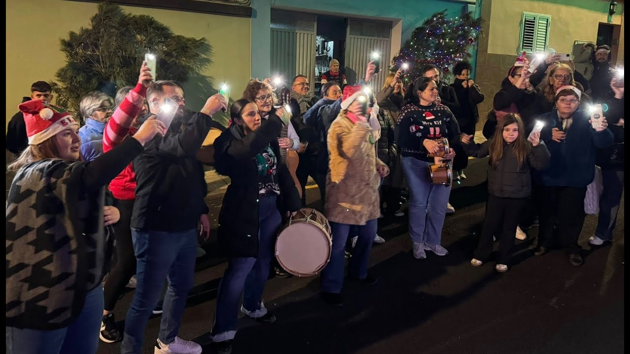 La Noche de los Árboles de Navidad de La Verdellada 2025
