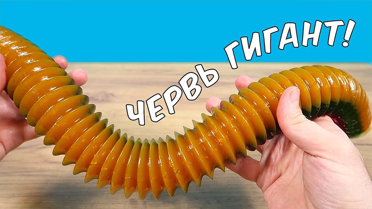 Вырастил огромного желейного Червя! Он как живой! И бросил его в Блендер!