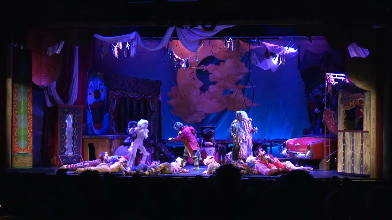 The Jellicle Ball from CATS the Musical, CM Performing Arts, March 2026