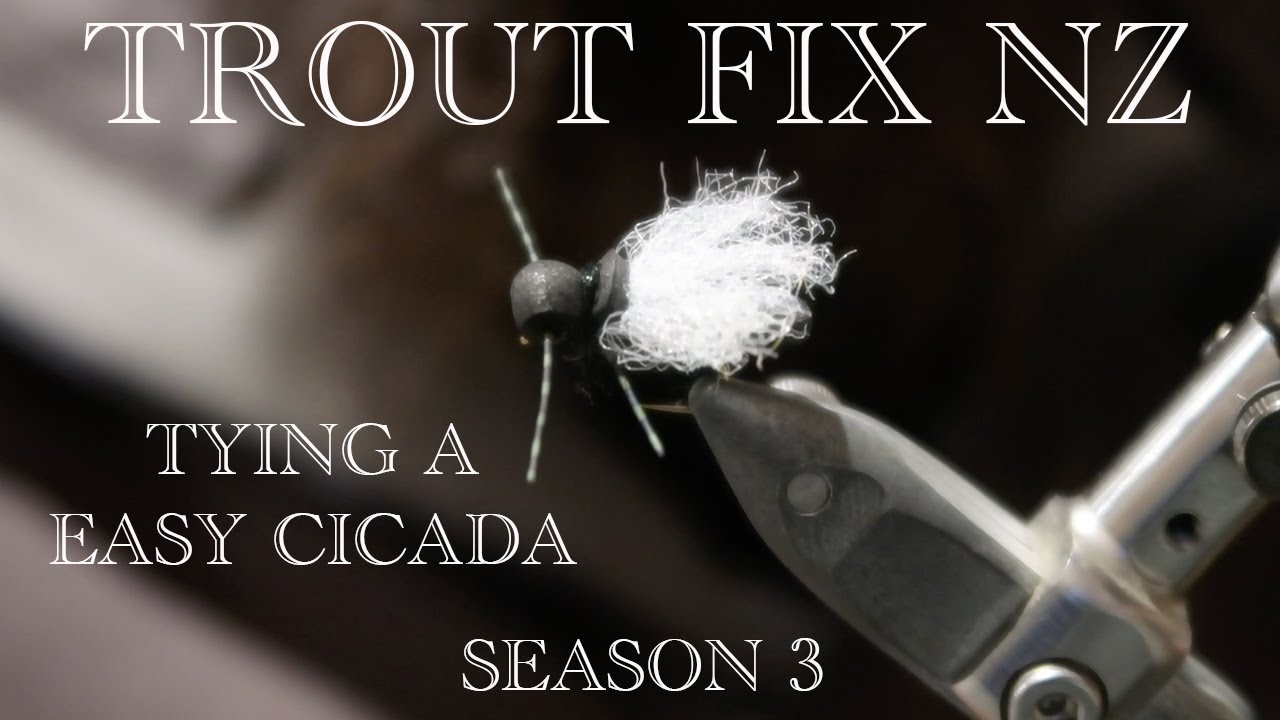 FRIDAY FLY DAY  Fly Tying a EASY Cicada pattern