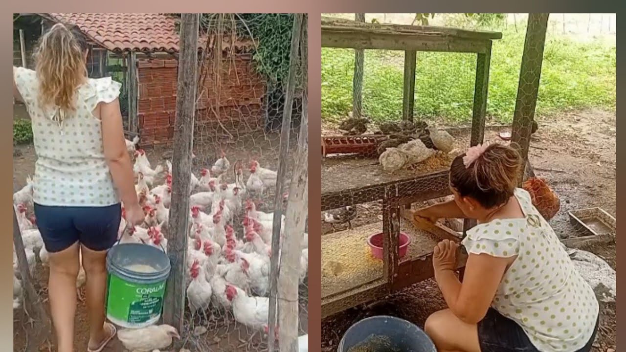 Muito trabalho, mas nada paga a paz e o sossego de morar na roça 