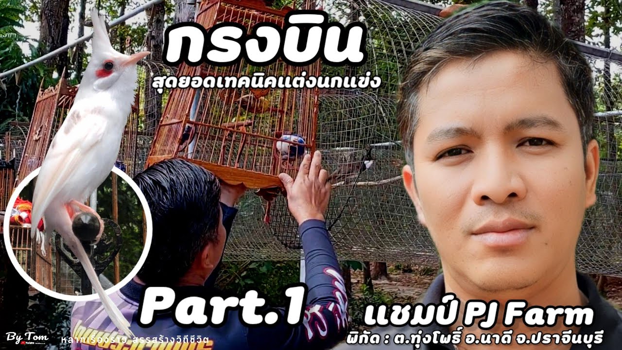 บุกฟาร์ม | แชมป์ ประทานพร สังประพล (PJ Farm) แนะนำการฝึกนกที่ดี ต้องให้เข้ากรงบินเป็นประจำ | Part.1