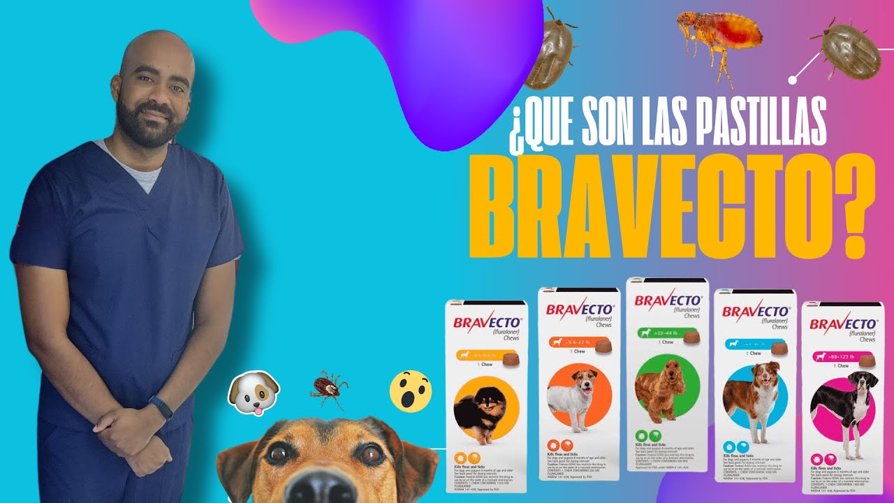 BRAVECTO: Lo que que necesitas saber. (GARRAPATAS, PULGAS Y ACAROS DE SARNA)
