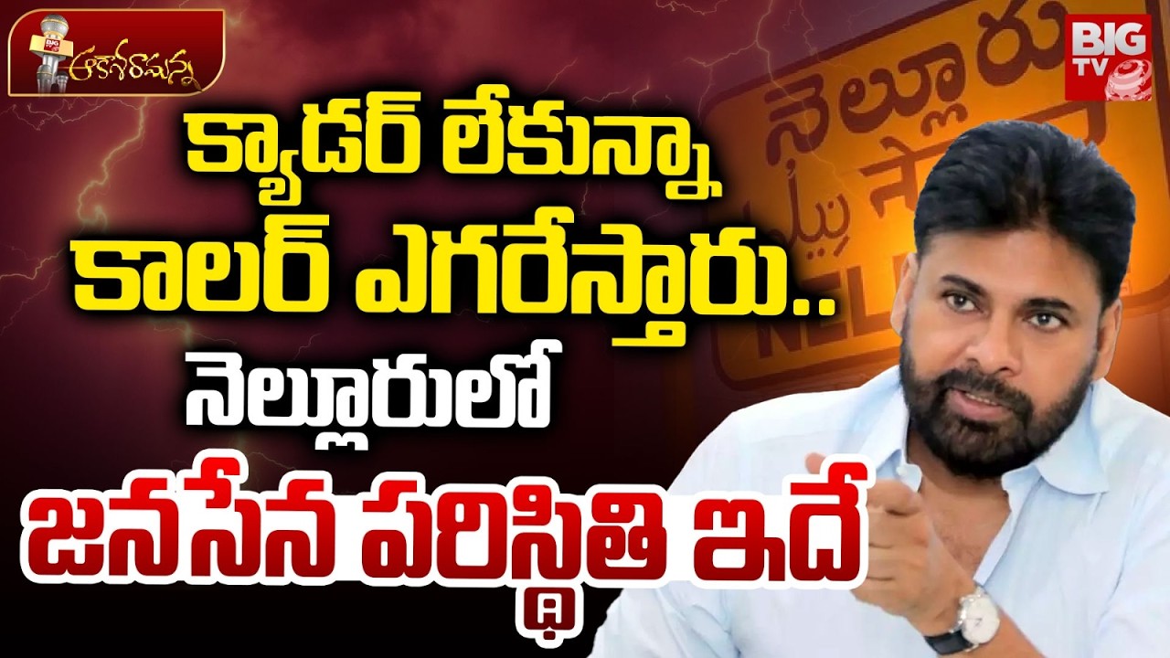 Janasena Party Situation In Nellore District | Pawan Kalyan | Nagababu | Nadendla Manohar | BIG TV