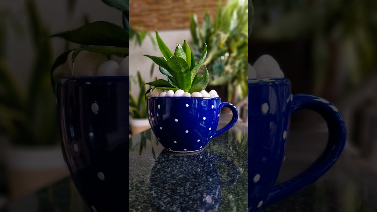 Unique ceramic pot | Meesho finds | Home decor | Rare cup shape pot #shorts