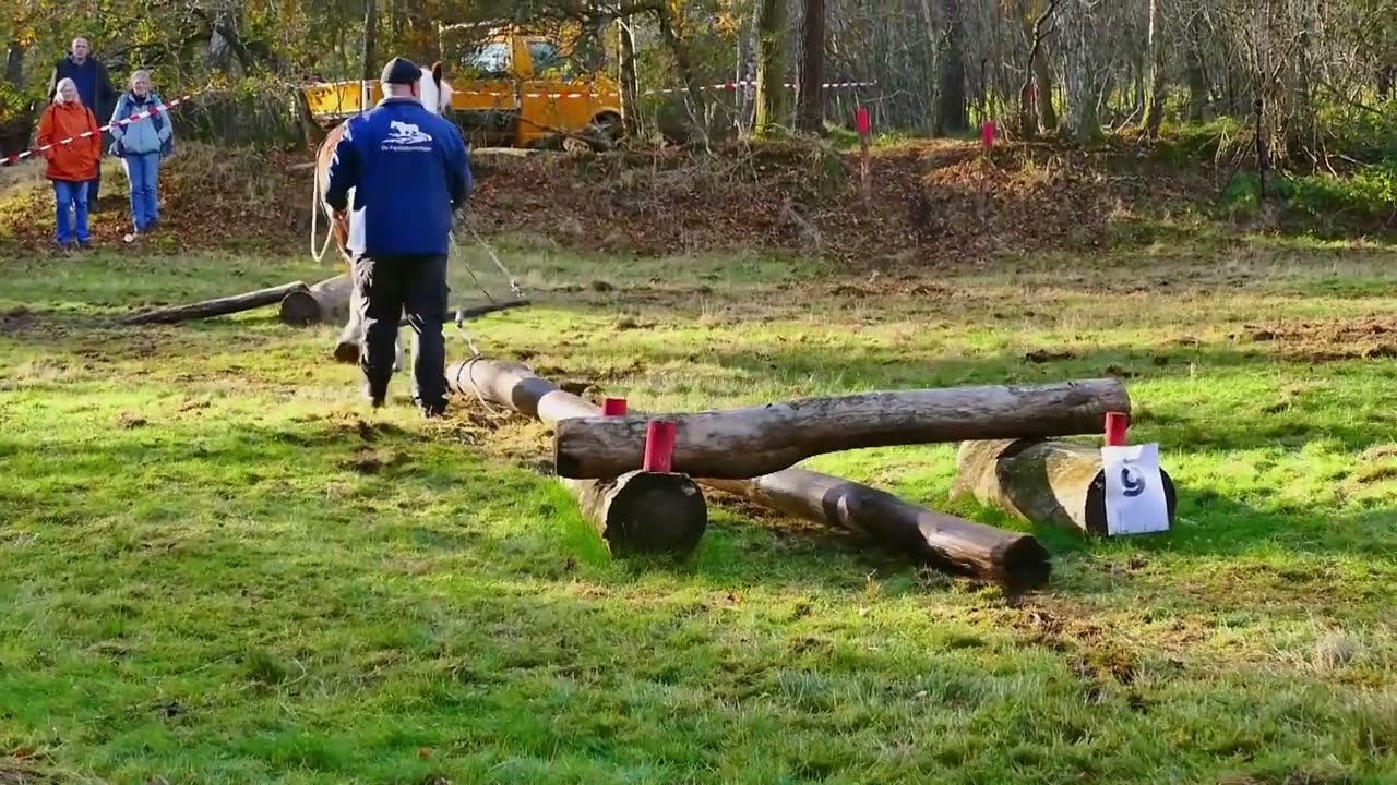 Boomslepen 2024