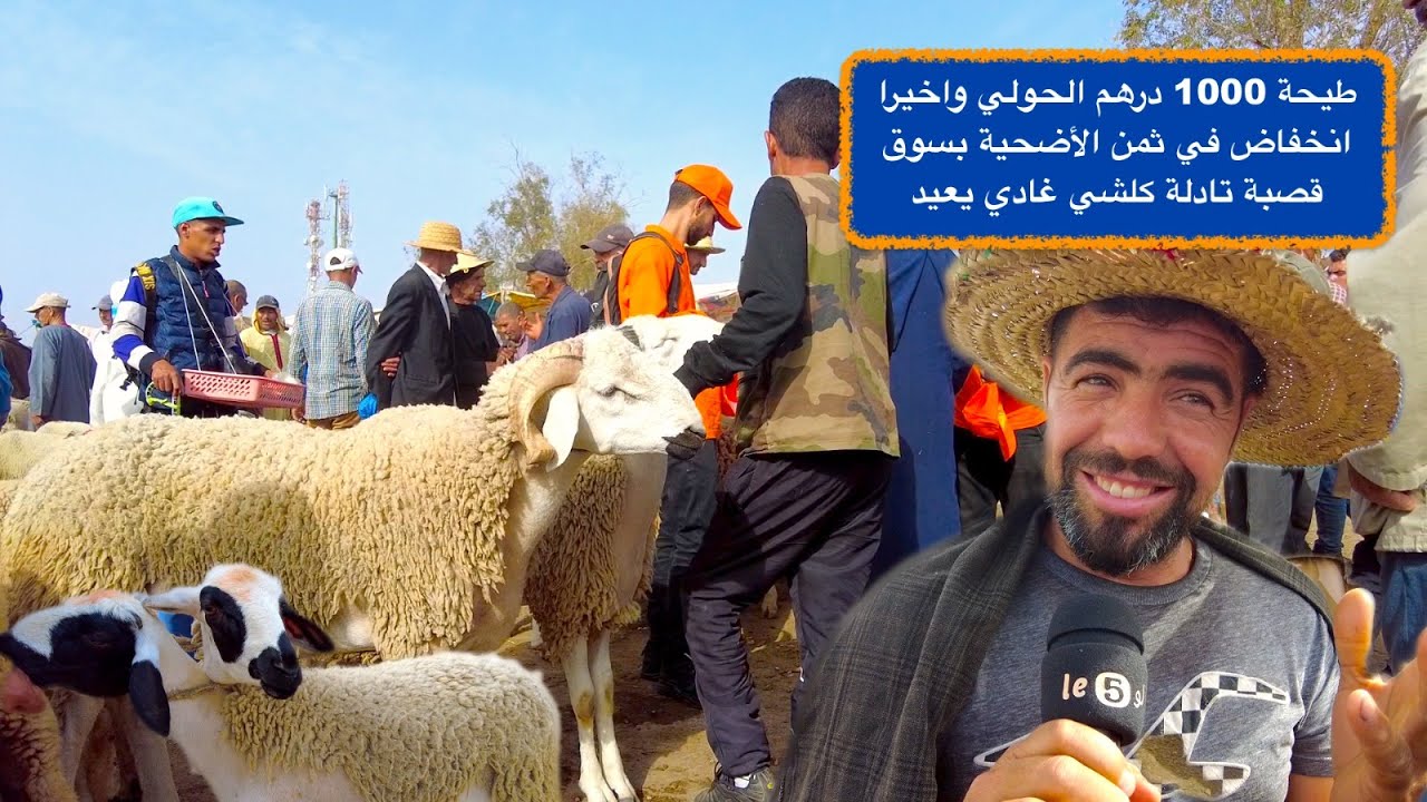 طيحة 1000 درهم الحولي واخيرا انخفاض في ثمن الأضحية بسوق قصبة تادلة كلشي غادي يعيد