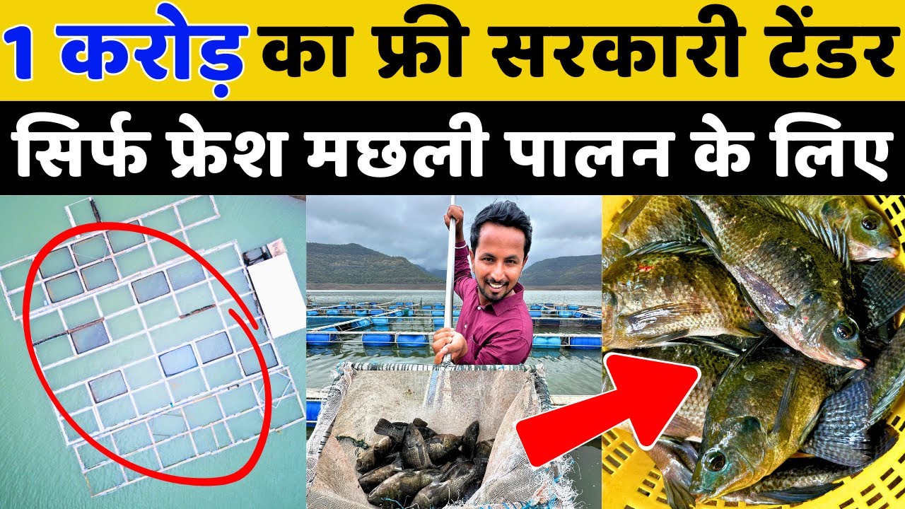 पानी की तरह बनाओ पैसा फिश फार्मिंग से🤑💯 Fish Farming New Technique | Indian Farmer