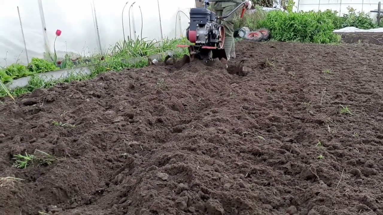 мотоблок Ока с фрезами