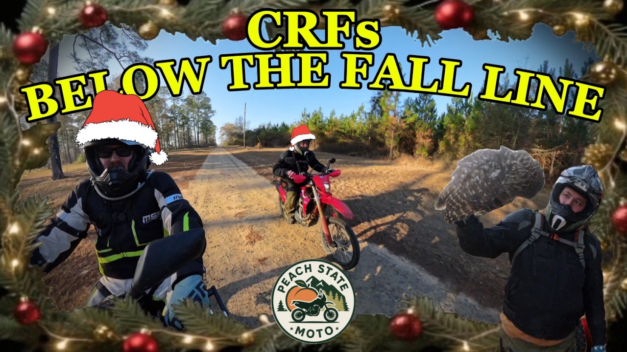 We Rode the WMAs on Christmas Eve... Middle Georgia Dual Sport