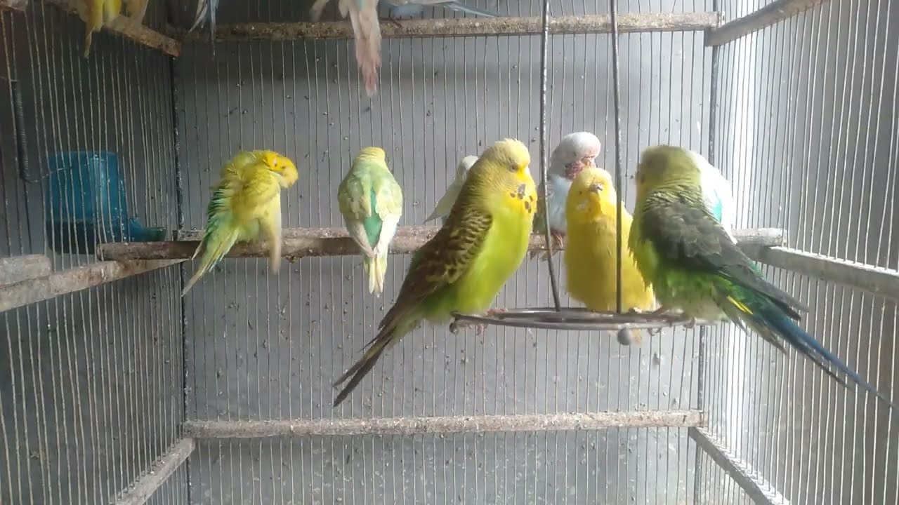 😳少し変えただけでこうなる？どう思う？