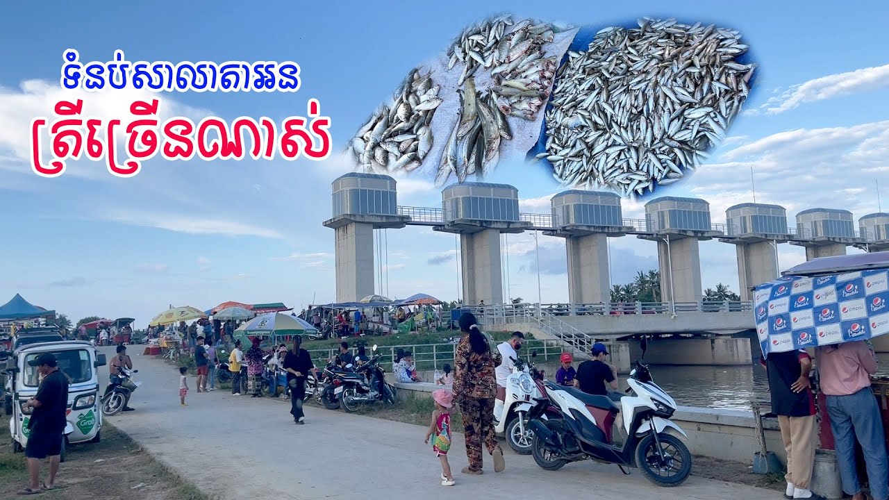 ទំនប់សាលាតាអន ត្រីច្រើនណាស់ 😍 | Sala Ta Orn Dam in Battambang