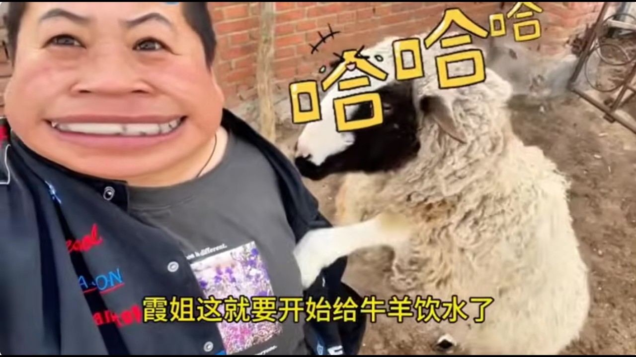 看来大家对霞姐还是很认可的,把霞姐夸的乐开了花...