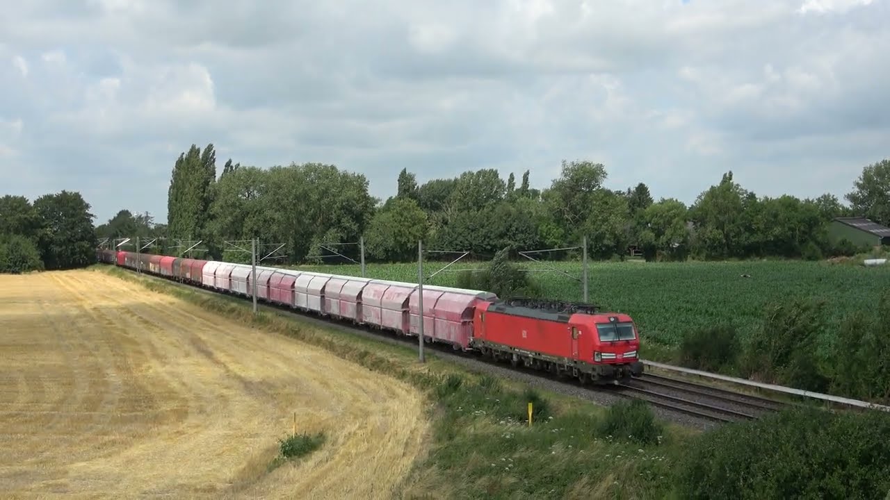 (D) Praest 12-07-2023 4K