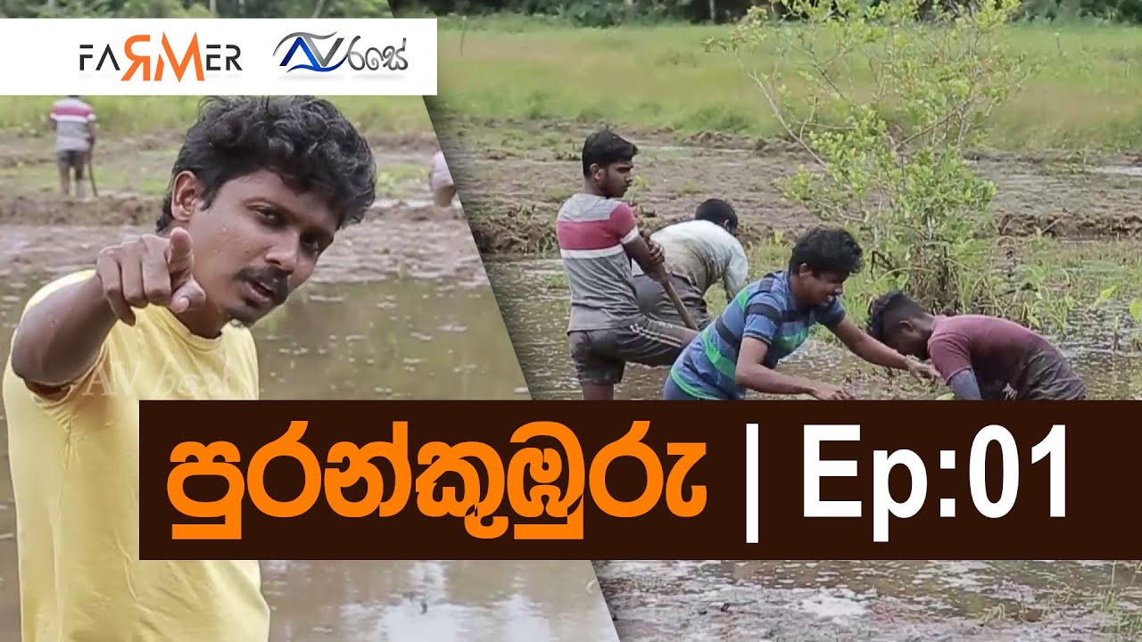 Puran Kumburu Vlog - Dilan Senanayake 