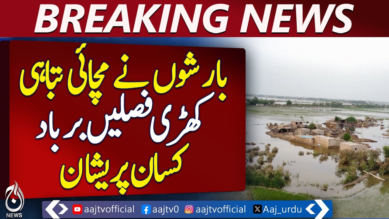 Pano Aqil floods submerge 150 villages, no rescue response &ndash; Pakistan news