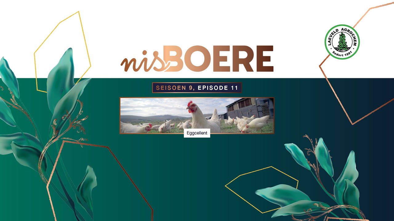 Nisboere 9 | Episode 11 – Eggcellent