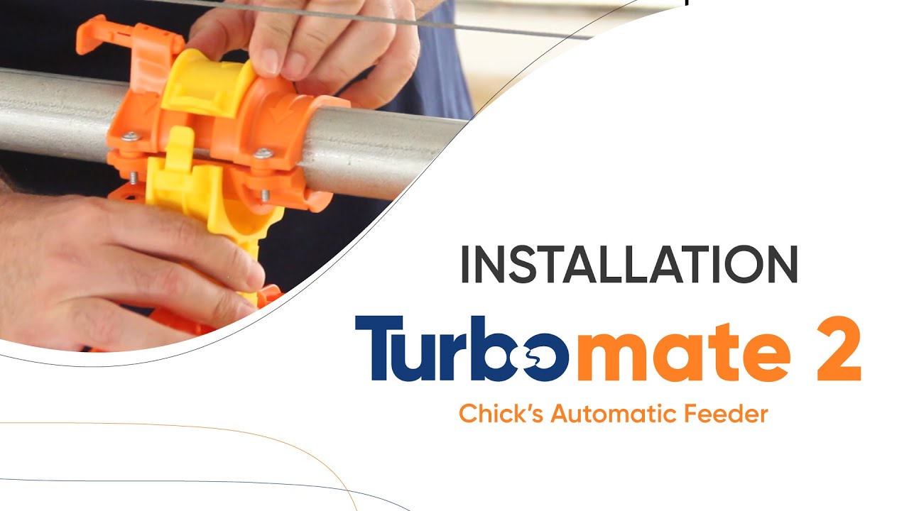 Turbomate 2 | Installation of Chick's Automatic Feeder | Sephnos