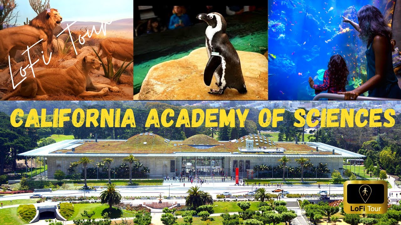 California Academy of Sciences, San Francisco / LoFi TOUR [4K]