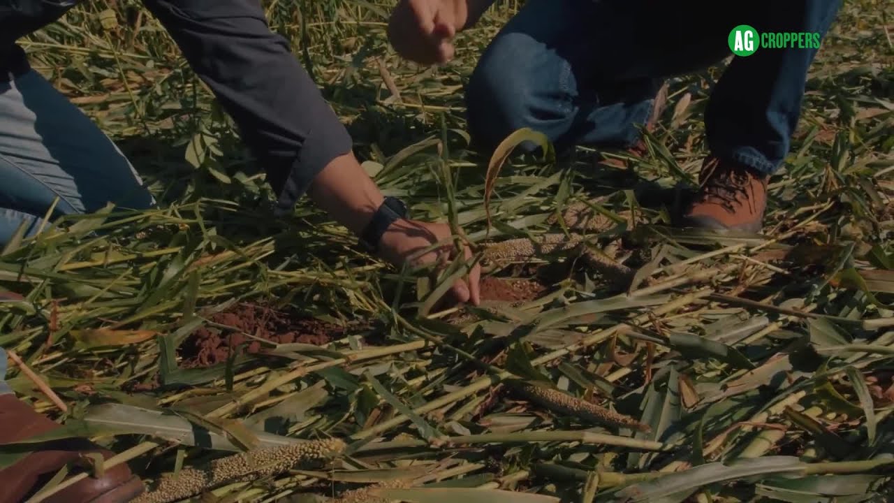 Na experiência prática deste produtor, os mix de cobertura mudaram o cenário da sua área produtiva