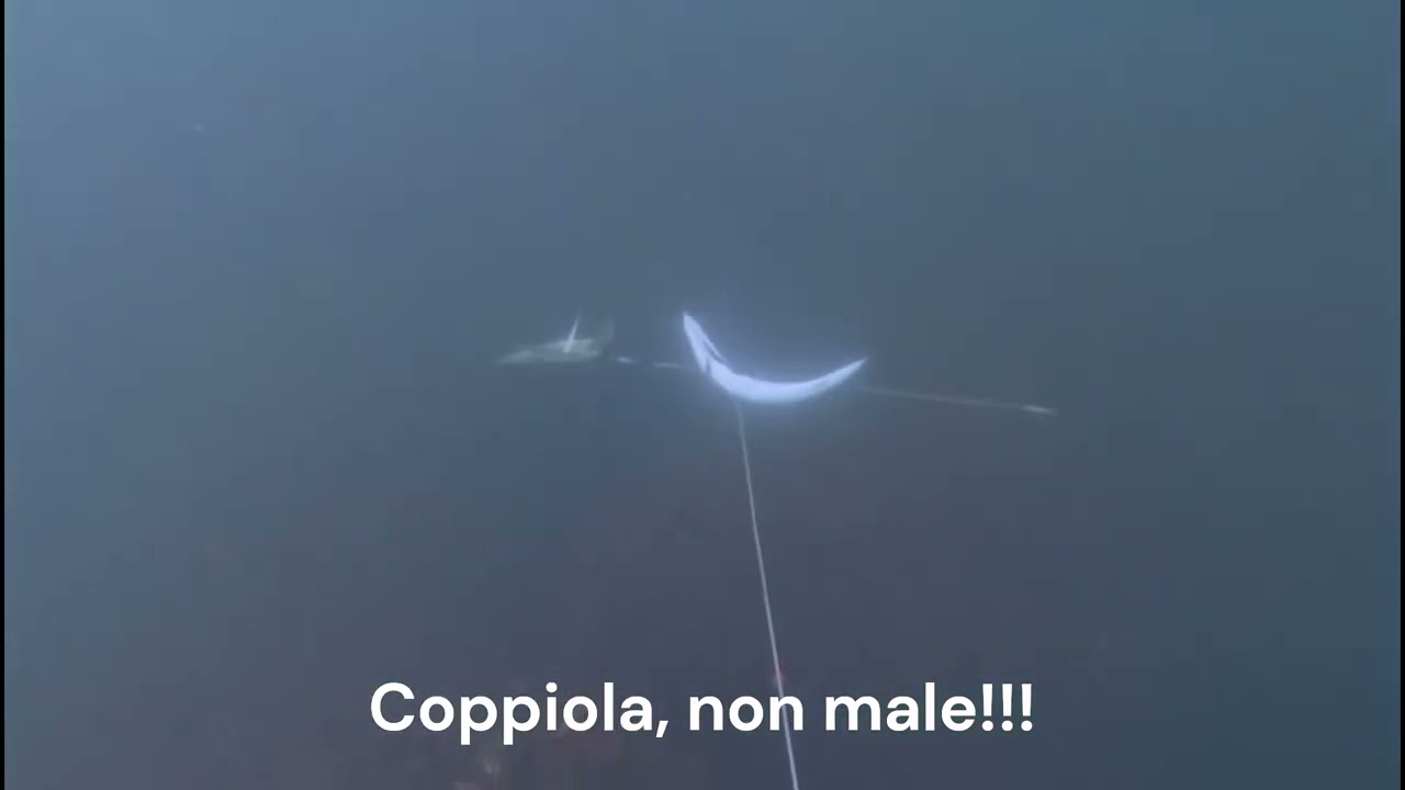 FUCILE MARES FORCE 70. LO ABBIAMO PROVATO IN MARE...
