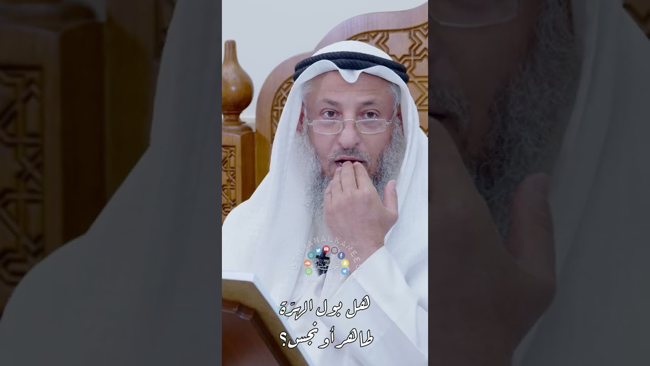 هل بول الهرّة طاهر أو نجس؟ - عثمان الخميس