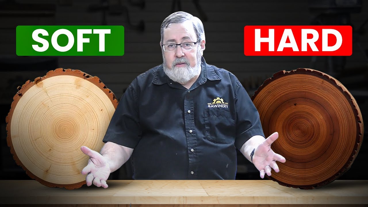Твердая и мягкая древесина: в чем разница?