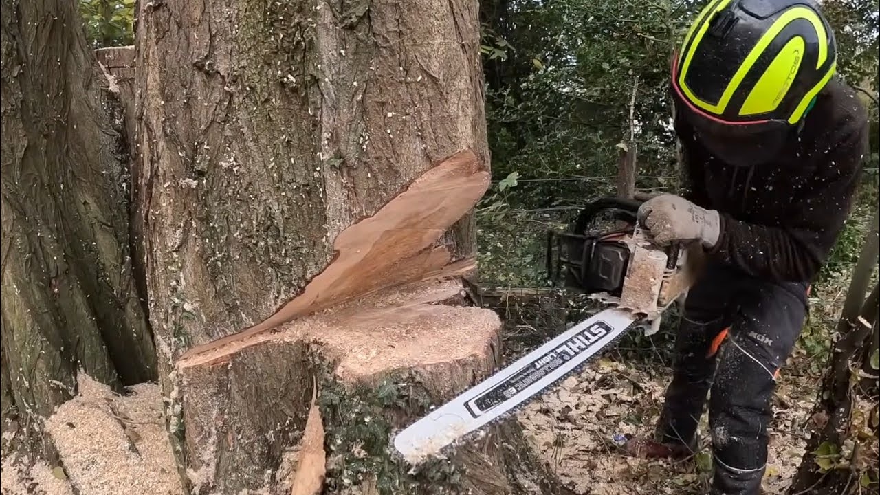 GROS DÉMONTAGE DE PEUPLIERS / STIHL 500I ACCÈS DIFFICILE