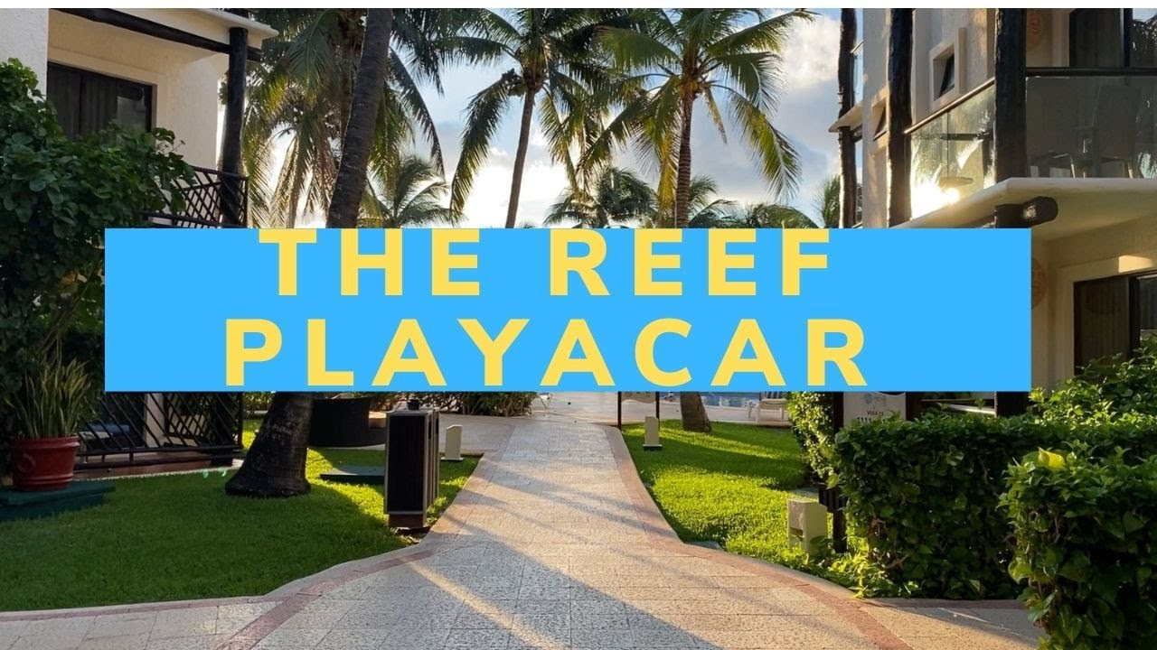 WALKTHROUGH THE REEF PLAYACAR ALL INCLUSIVE RESORT 2023  PLAYA DEL CARMEN REVIEW