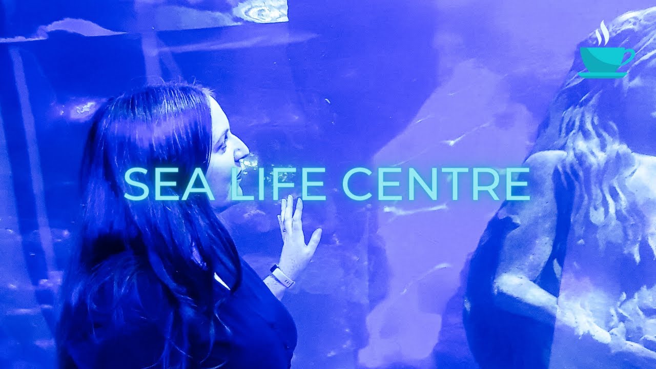 Sea Life Centre Birmingham | UK Day Trip