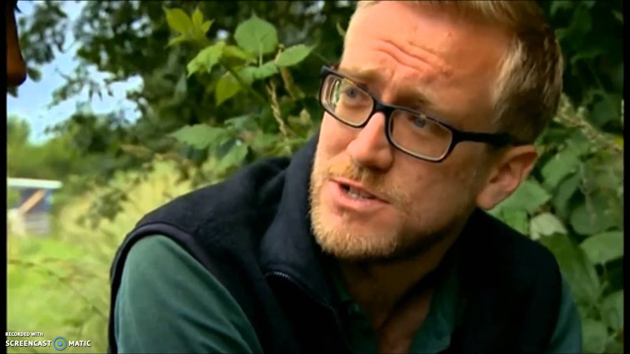 Slow Worms on Urban Jungle (2013)