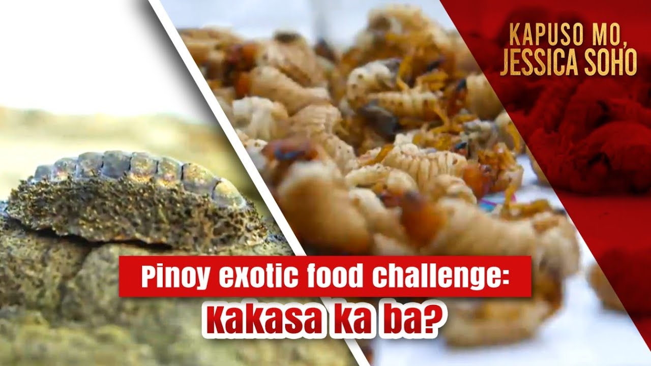 Pinoy Exotic Food Challenge&mdash; Kakasa ka ba? | Kapuso Mo, Jessica Soho