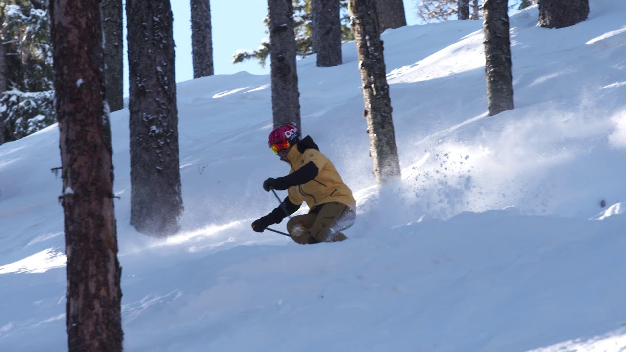 Ski the Trees: Tree Tactics