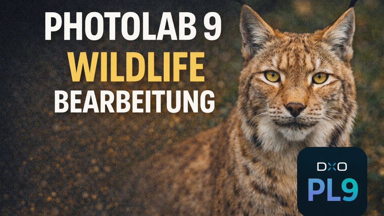 DxO PhotoLab 9 im Praxistest – Wildlife-Bearbeitung leicht gemacht