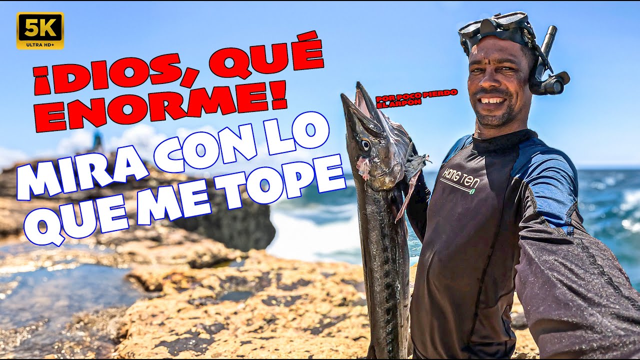 CONSEJO PARA TODOS: NUNCA TE ENFRENTES A UNA BARRACUDA SI NO ESTÁS PREPARADO