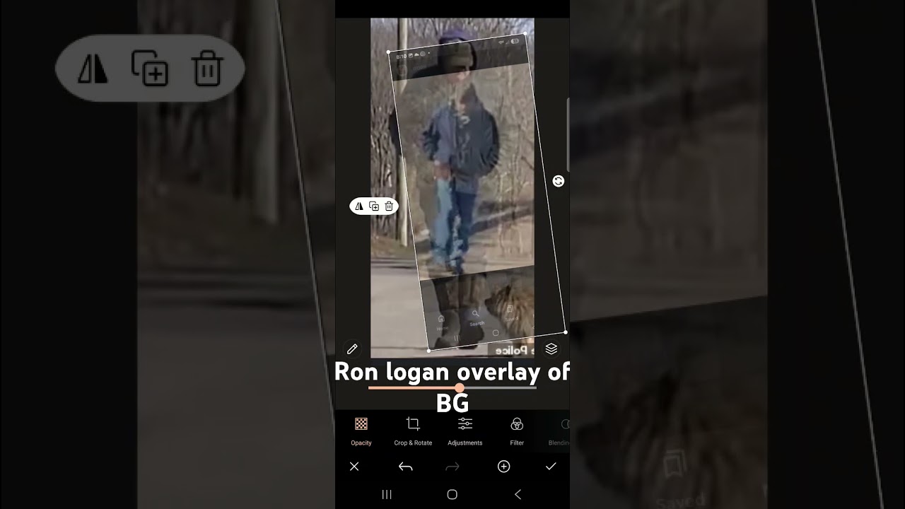quick overlay edit of Ron Logan on Bridge Guy. #abbyandlibby  #delphi #delphicase #bridgeguy