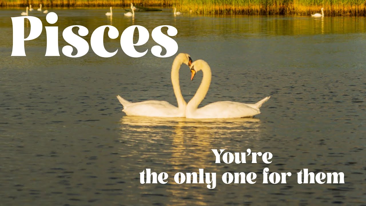 Pisces 💖💖this person is coming in to communicate… to put you at ease… they want another chance💖💖