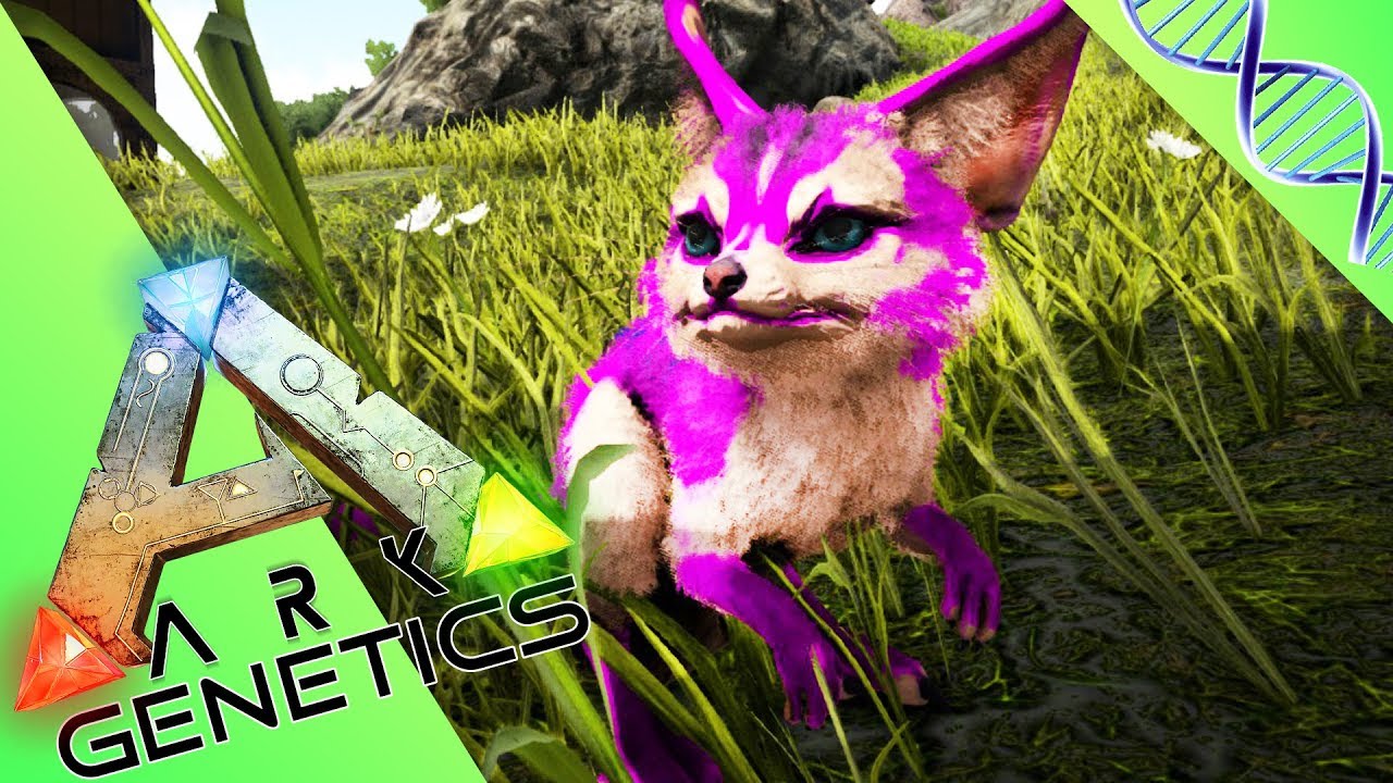 ARK GENETICS : LES MUTANTS ! Des Jerboas trop kawaii ! /6