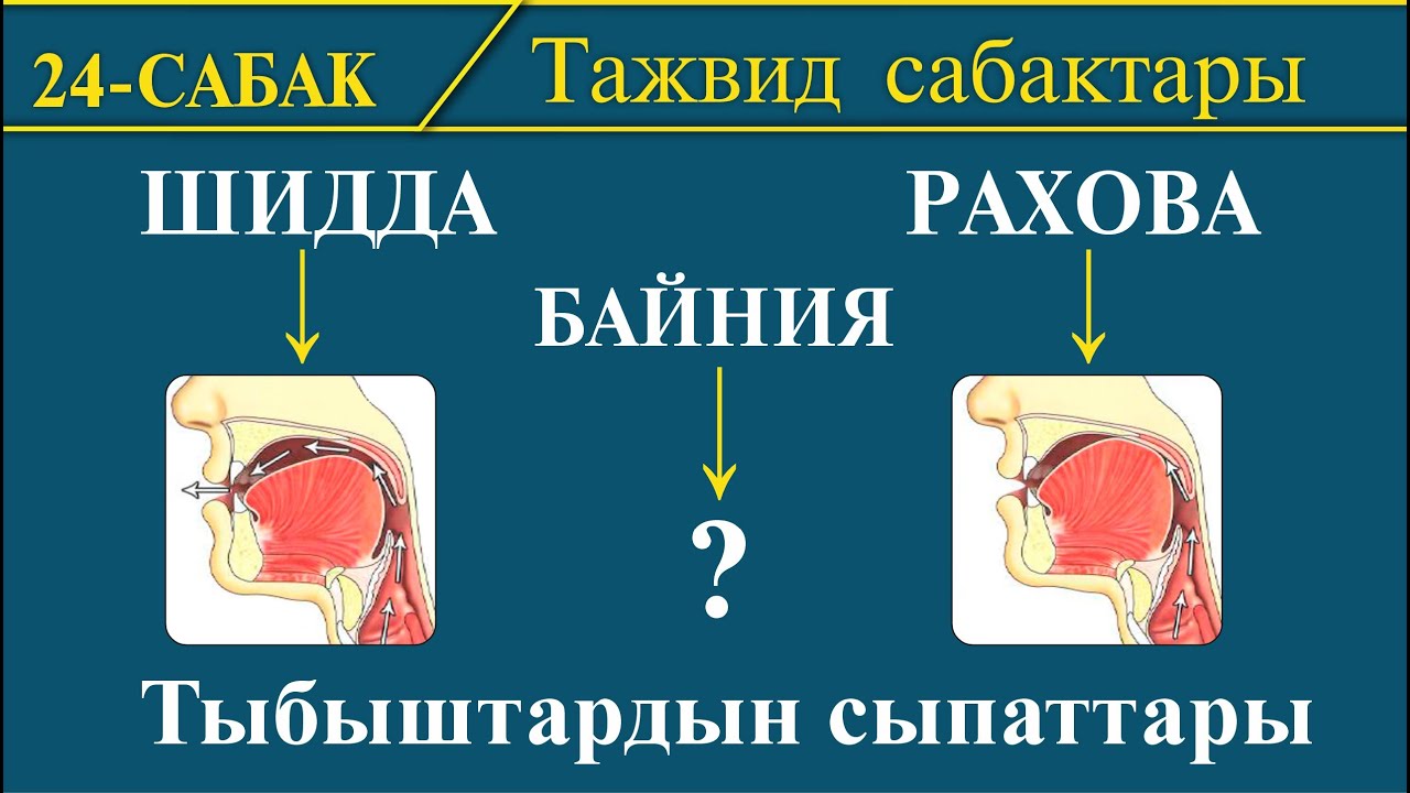 Тажвид сабактары: ШИДДА, РАХОВА жана БАЙНИЯ І 24-сабак: Тыбыштардын сыпаттары