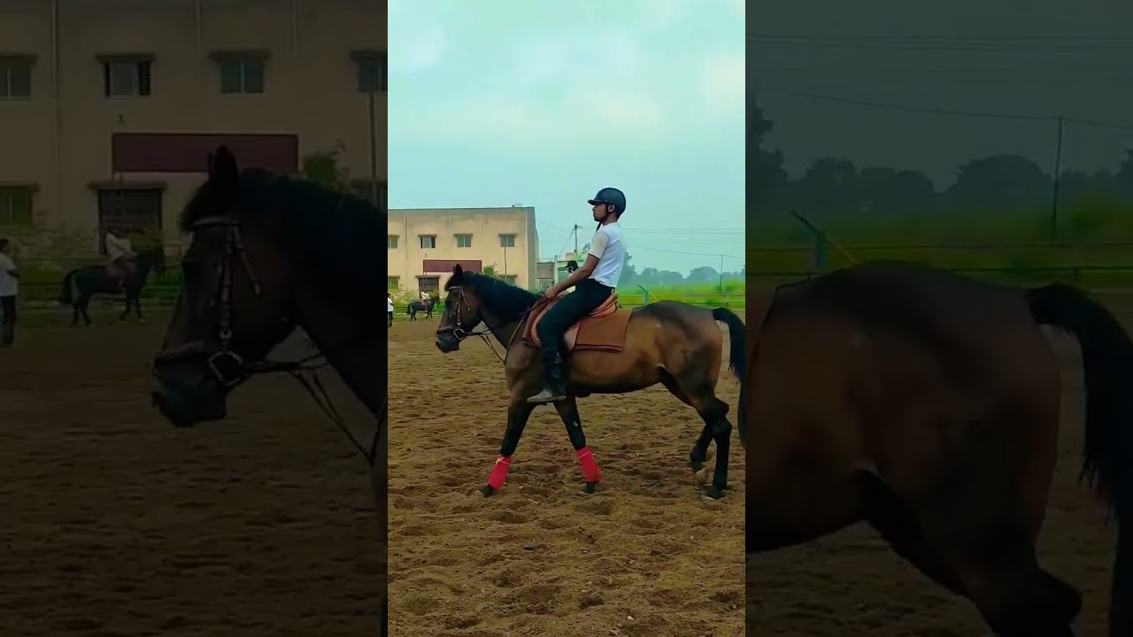#horse #horseriding #morningride