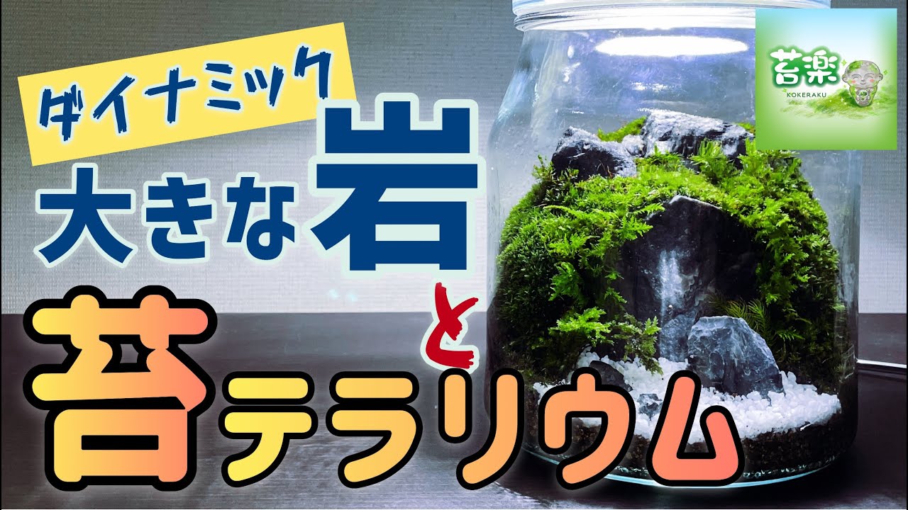 大きな岩が主役の苔テラリウム【苔テラリウム制作】