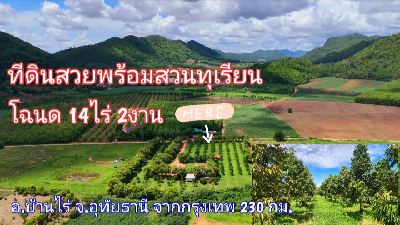 ปท426 ที่ดินสวยพน้อมสวนทุเรียนโฉนด 14ไร่ 2งาน สาธารณูแโภคพร้อม อ.บ้านไร่ จ.อุทัยธานี ขายเหมา 14.5 ล.