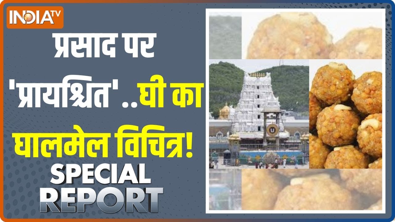 Special Report: तिरुपति में घी घोटाला.. एक लड्डू में कितना डाला? | Tirupati Prasad Controversy